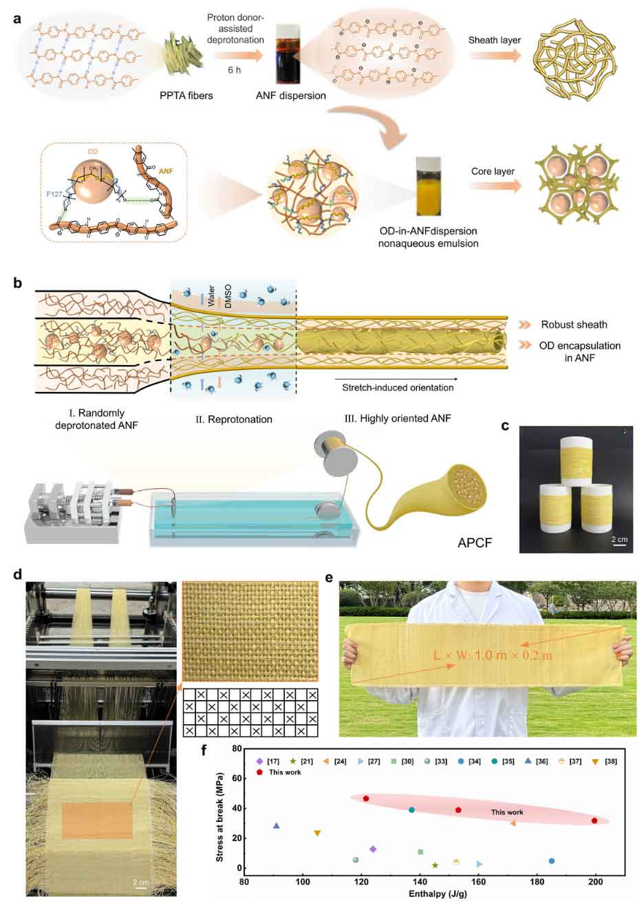 image-(8).jpg image-(8).jpg