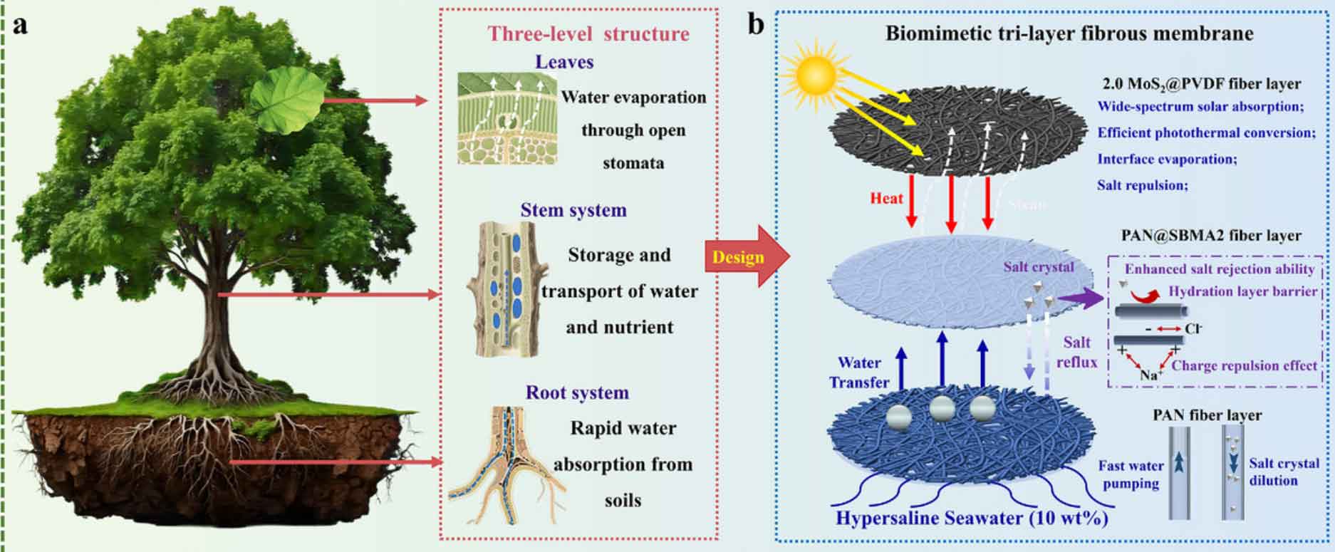 image-(10).jpg image-(10).jpg