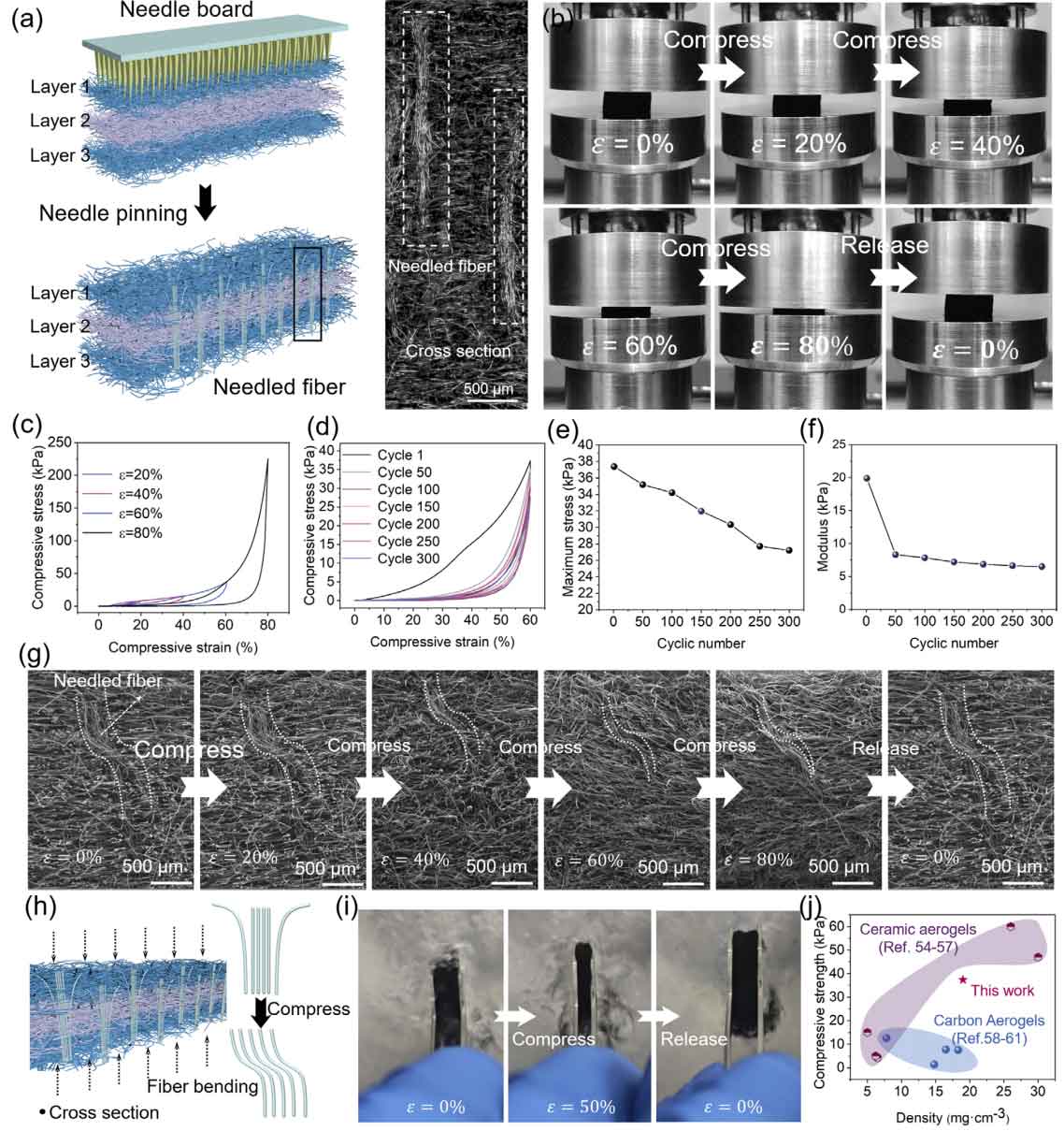 image-(6).jpg image-(6).jpg