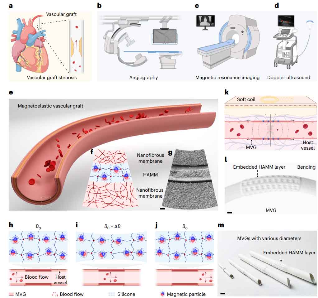 image-(1).jpg image-(1).jpg