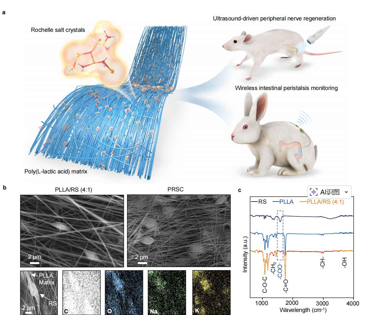 image-(5).jpg image-(5).jpg