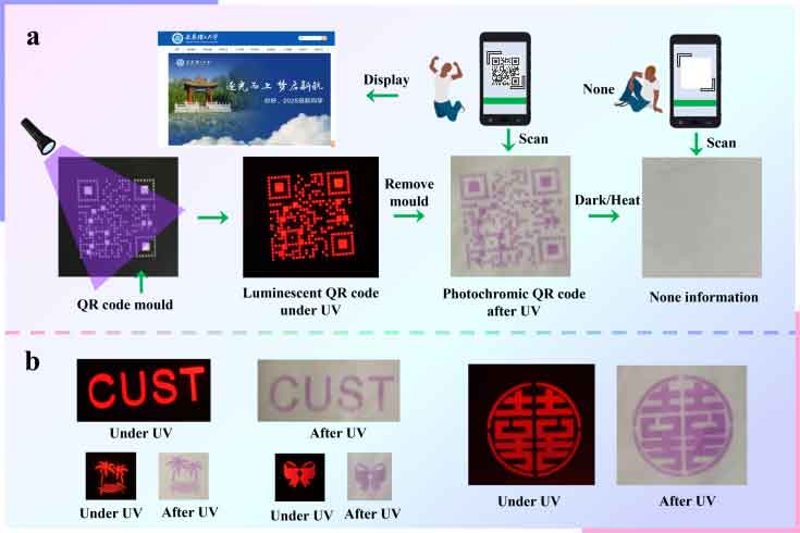 image-(4).jpg image-(4).jpg