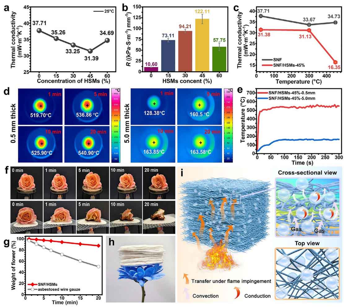 image-(3).jpg image-(3).jpg