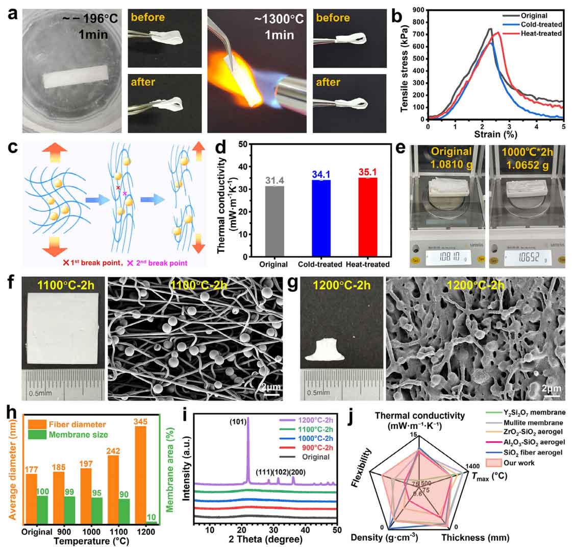 image-(5).jpg image-(5).jpg