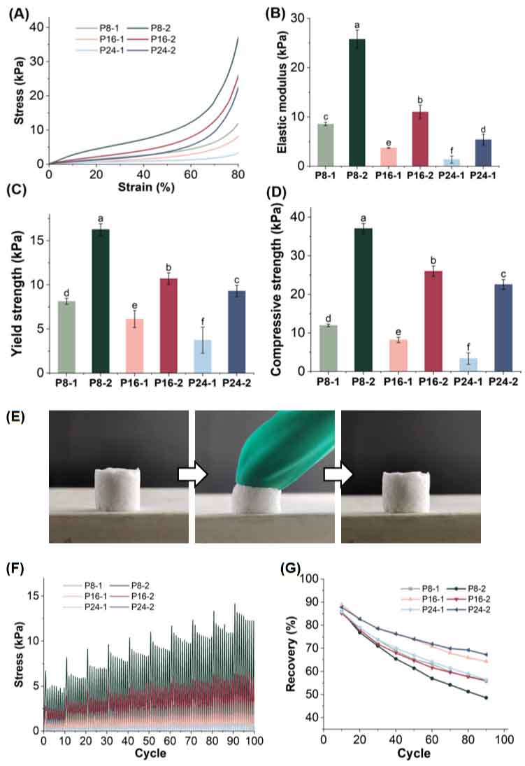 image%20(2).jpg image%20(2).jpg