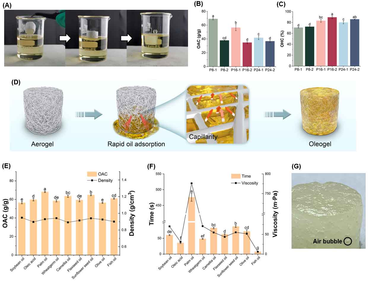 image%20(3).jpg image%20(3).jpg