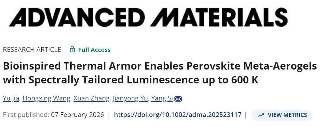 image-(2).jpg image-(2).jpg