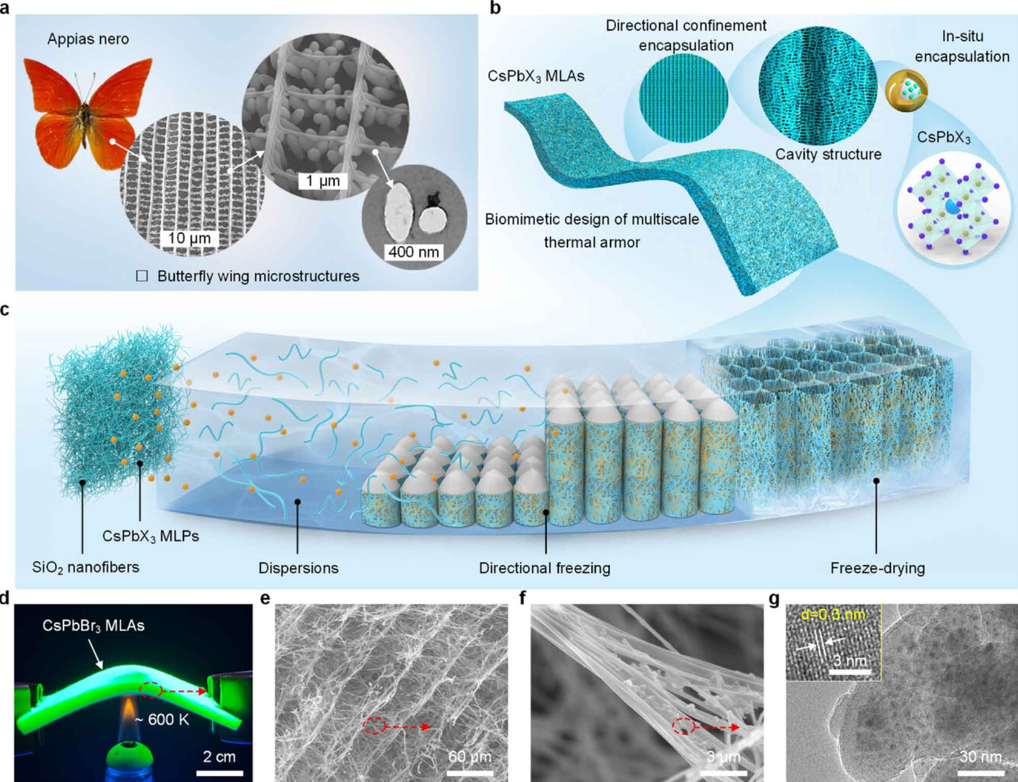 image-(3).jpg image-(3).jpg