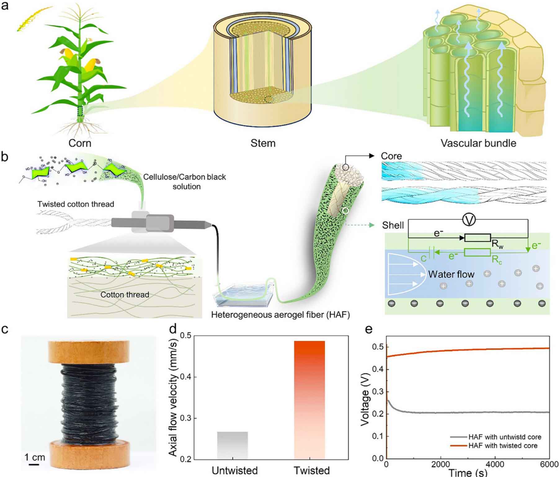 image-(7).jpg image-(7).jpg