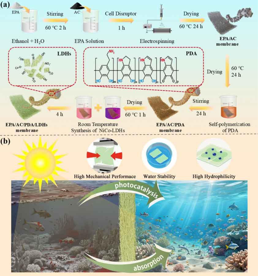 image-(1).jpg image-(1).jpg