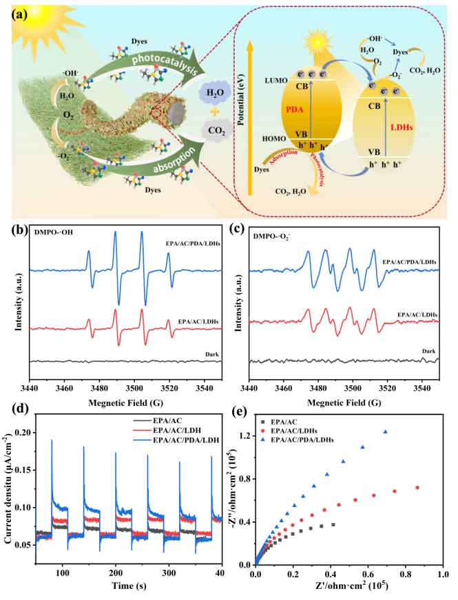image-(8).jpg image-(8).jpg