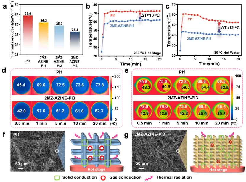 image-(6).jpg image-(6).jpg