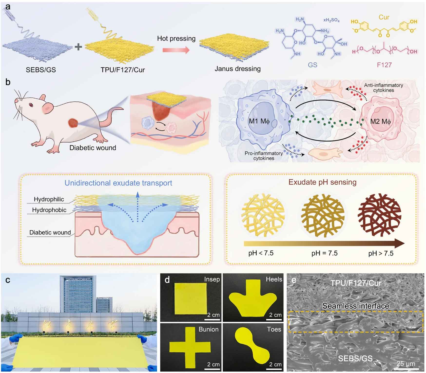 image-(5).jpg image-(5).jpg