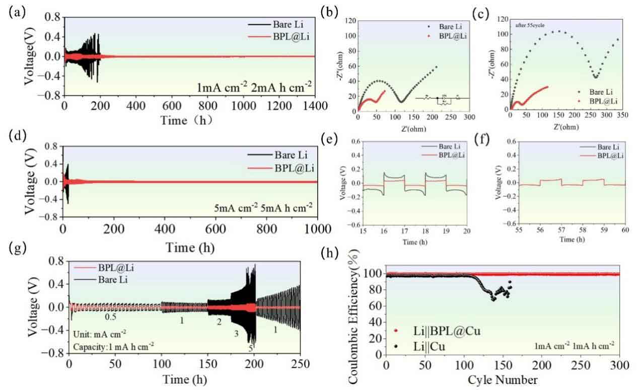 image-(1).jpg image-(1).jpg