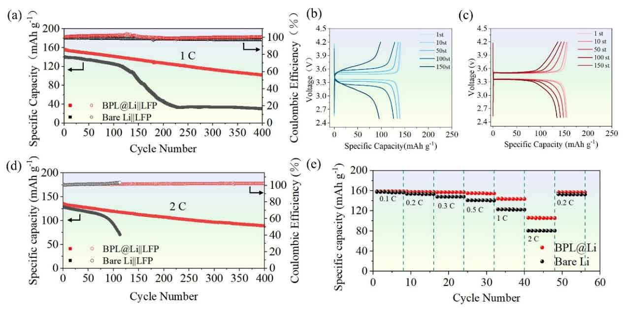 image-(2).jpg image-(2).jpg