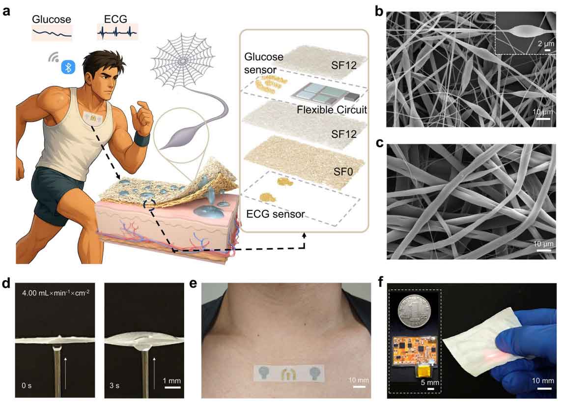 image-(1).jpg image-(1).jpg