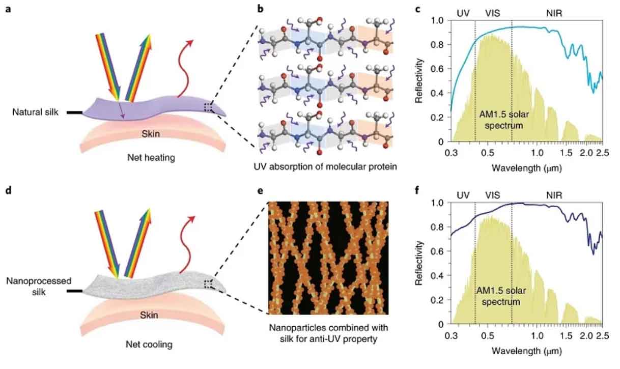 image-(2).jpg image-(2).jpg