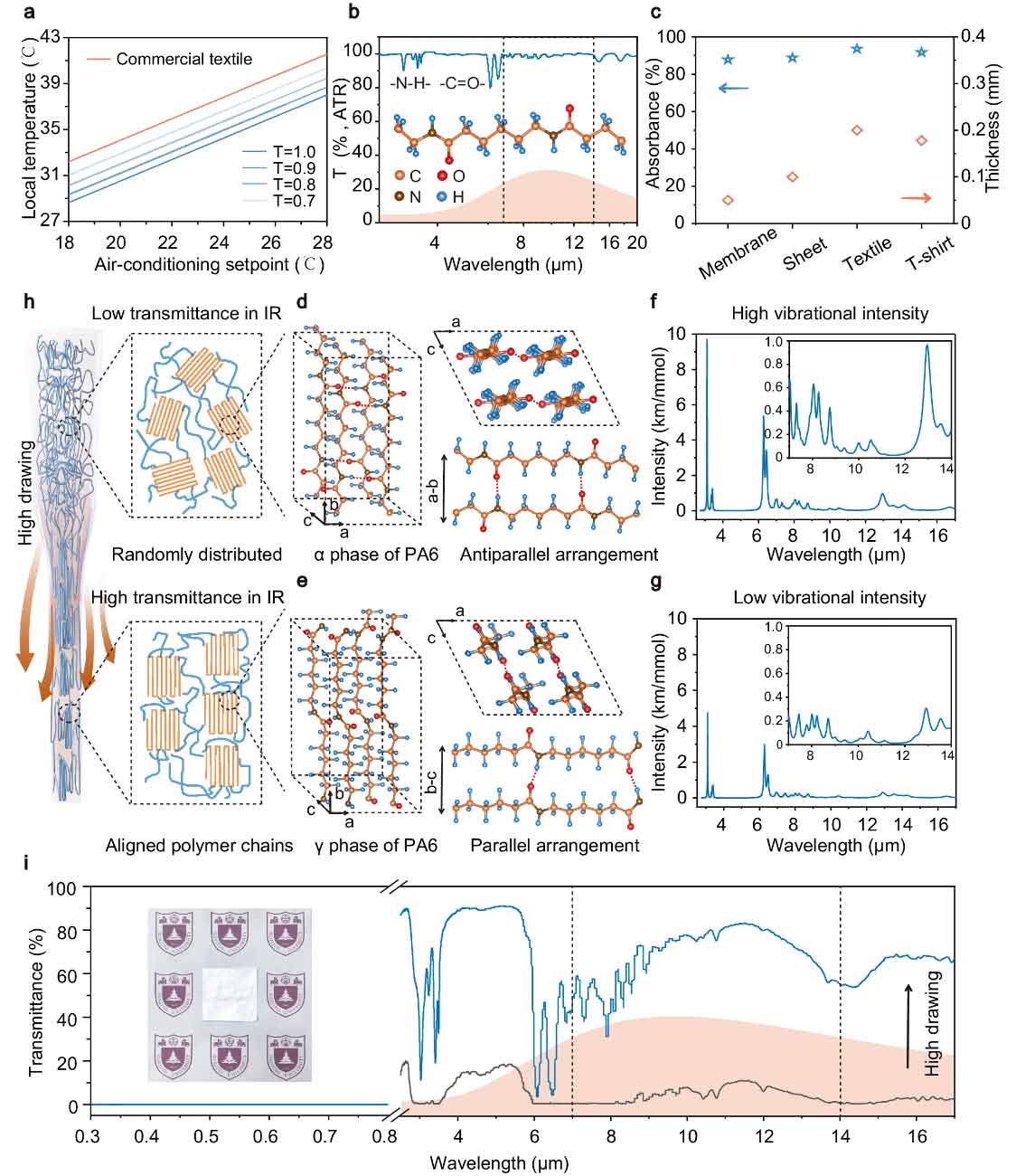 image-(6).jpg image-(6).jpg