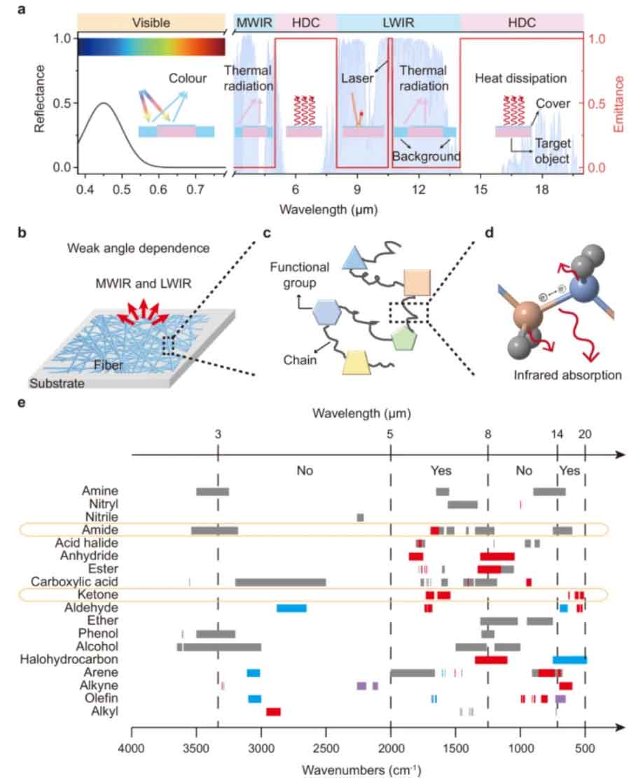 image-(8).jpg image-(8).jpg