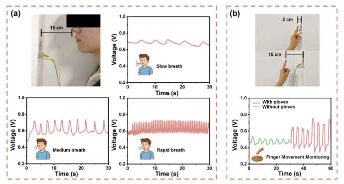 image-(5).jpg image-(5).jpg