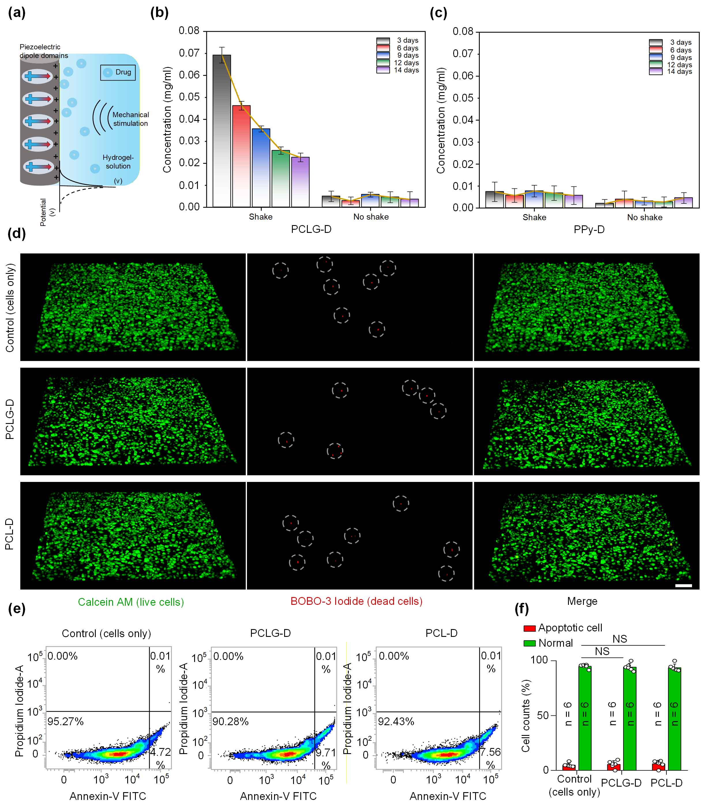 image-(2).jpg image-(2).jpg