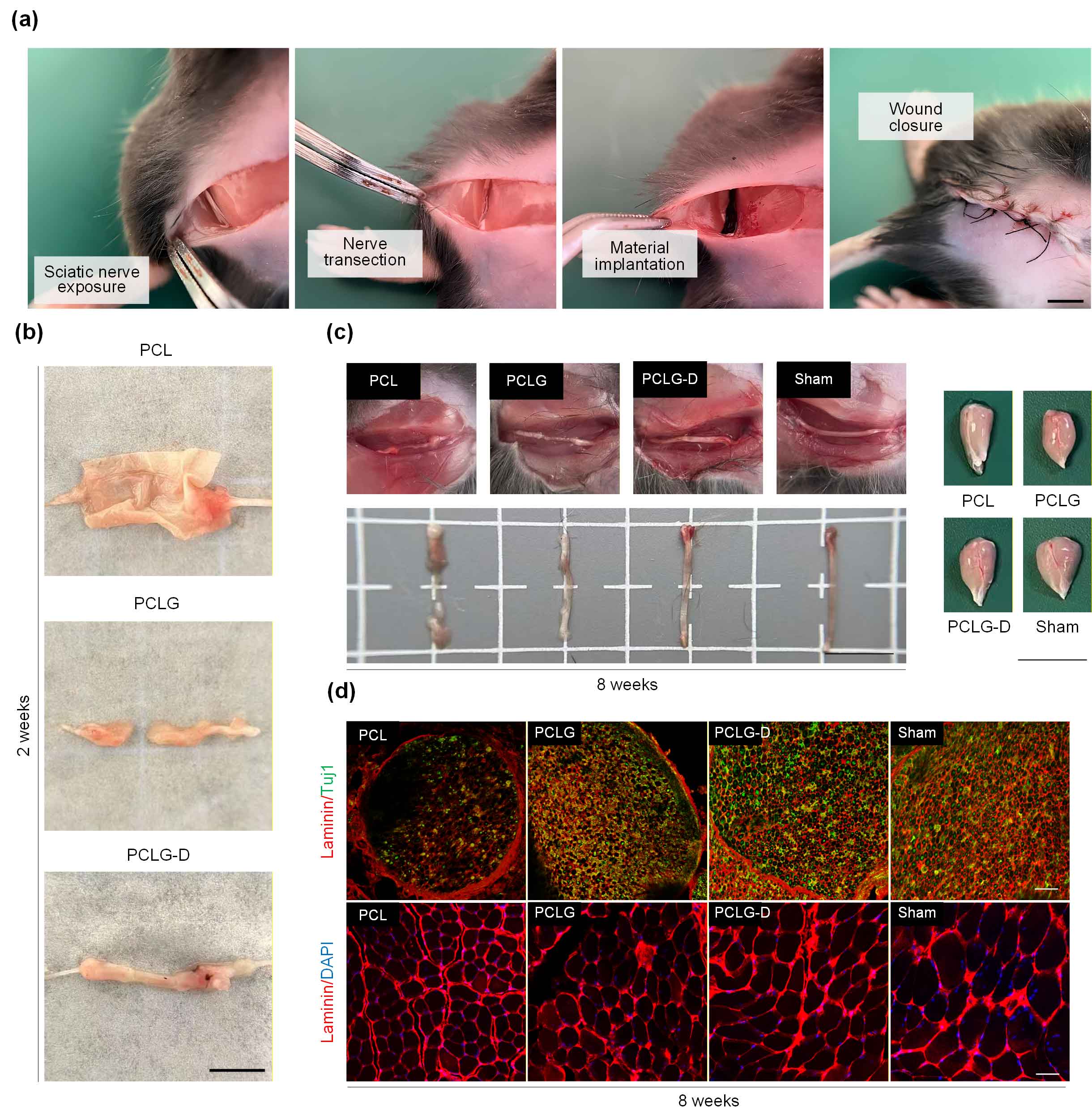 image-(3).jpg image-(3).jpg