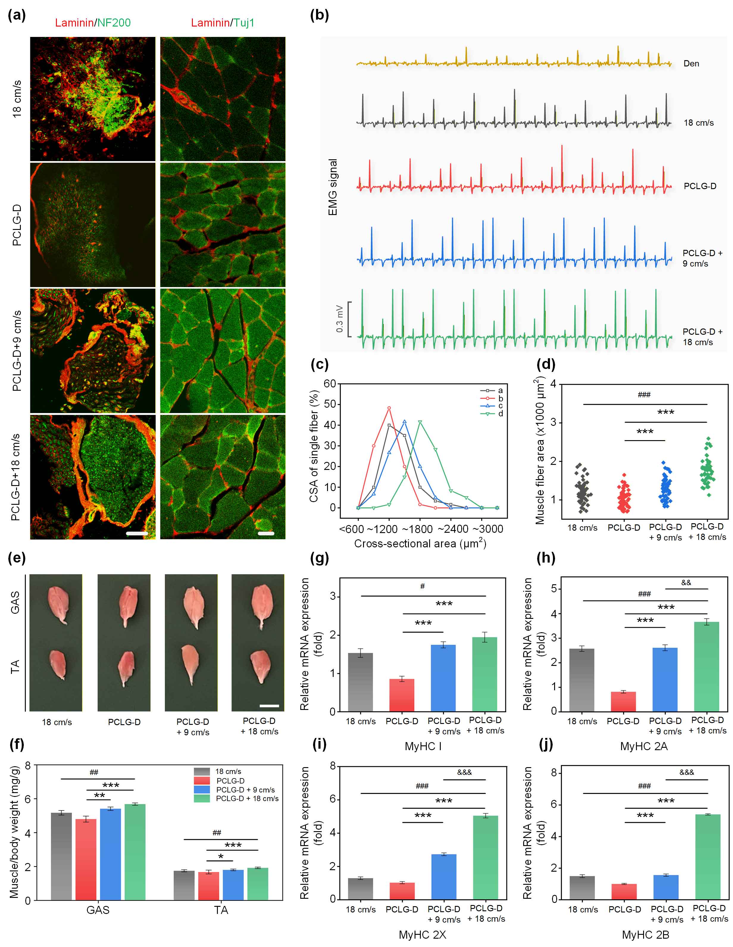 image-(4).jpg image-(4).jpg