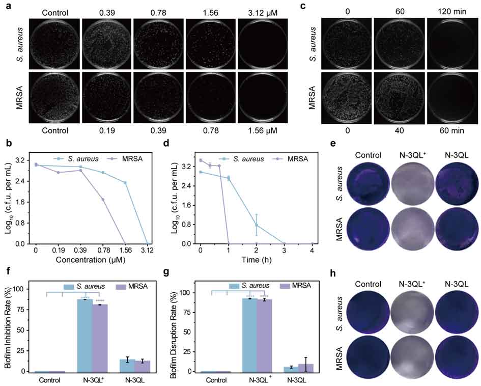image-(3).jpg image-(3).jpg