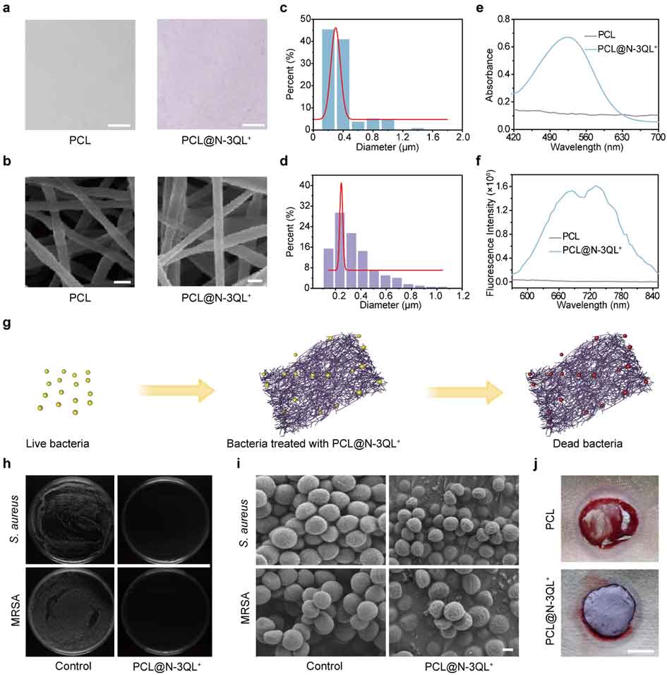 image-(4).jpg image-(4).jpg