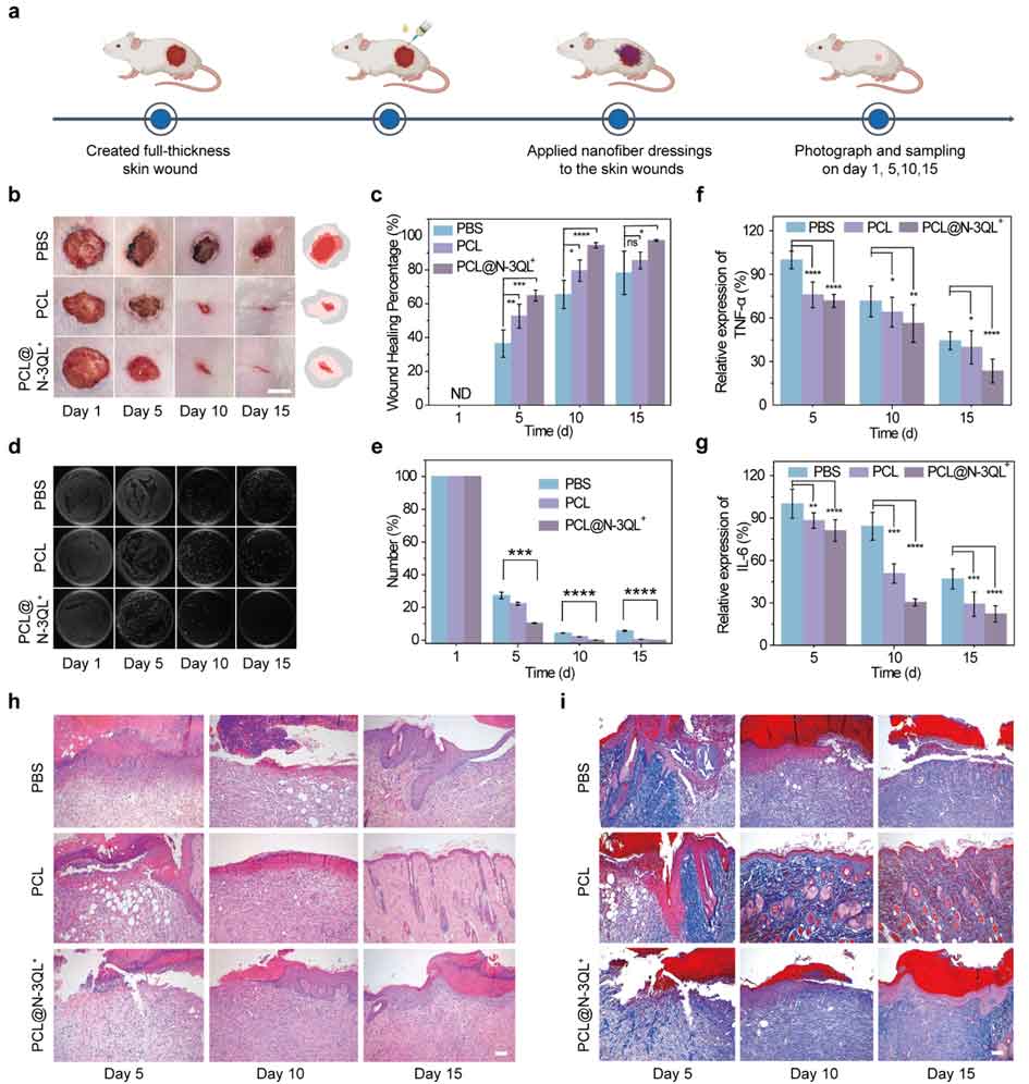 image-(7).jpg image-(7).jpg