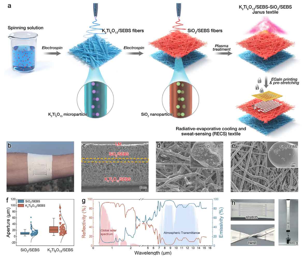 image-(1).jpg image-(1).jpg