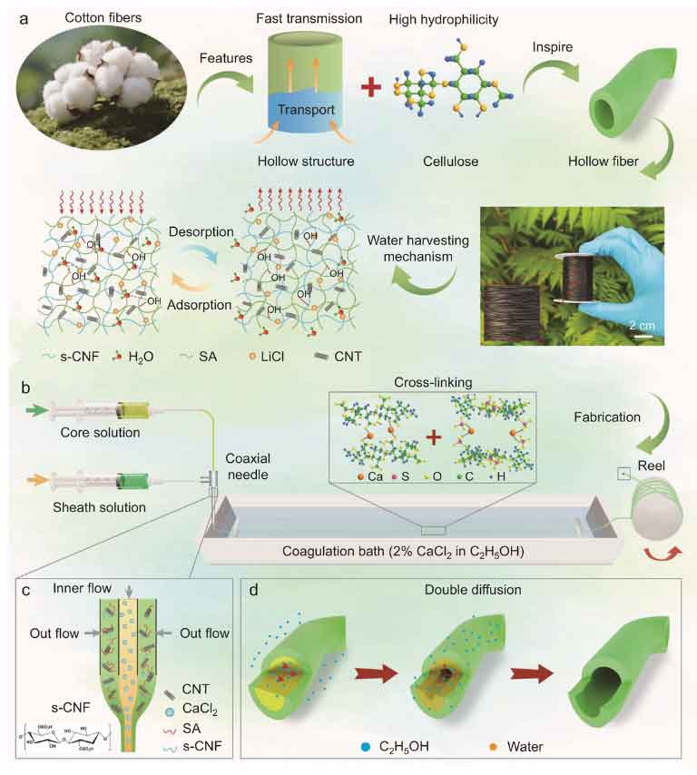 image-(3).jpg image-(3).jpg