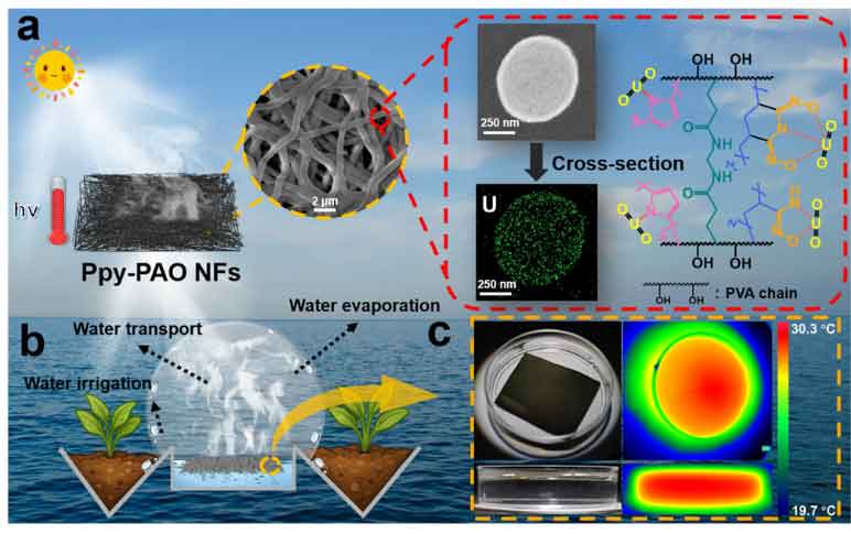 image-(7).jpg image-(7).jpg