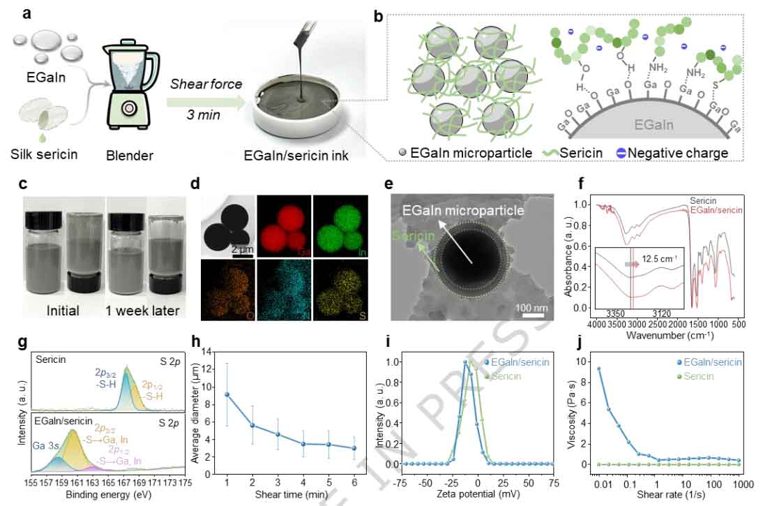 image-(2).jpg image-(2).jpg