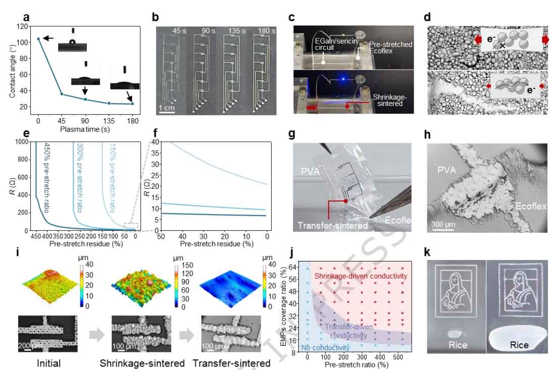 image-(3).jpg image-(3).jpg