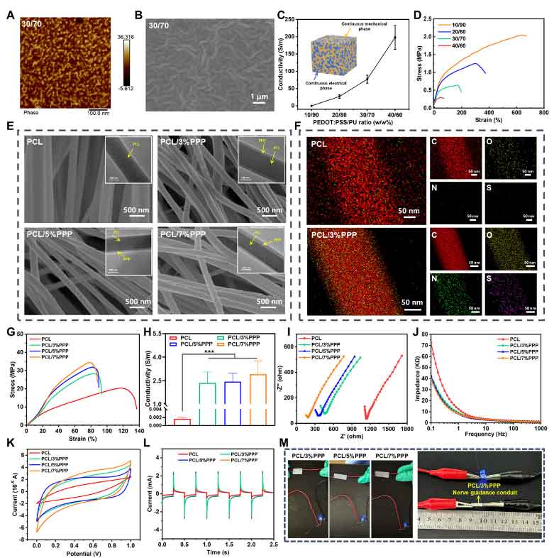 image-(2).jpg image-(2).jpg