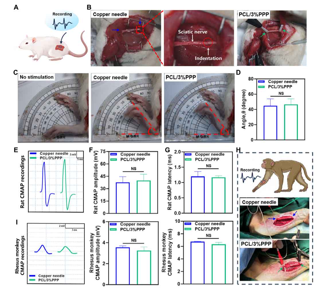 image-(5).jpg image-(5).jpg