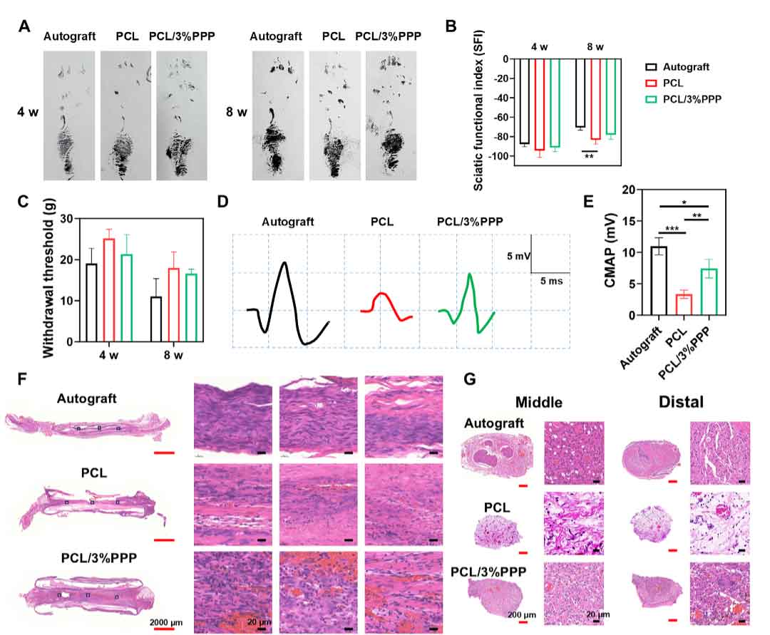 image-(6).jpg image-(6).jpg