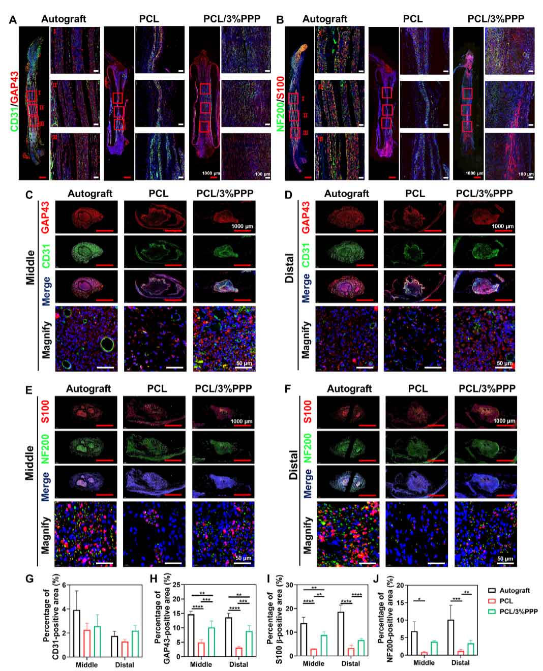 image-(7).jpg image-(7).jpg