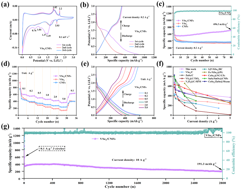 image (3).png image (3).png