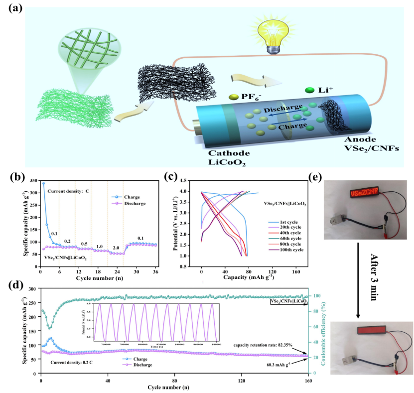 image (7).png image (7).png