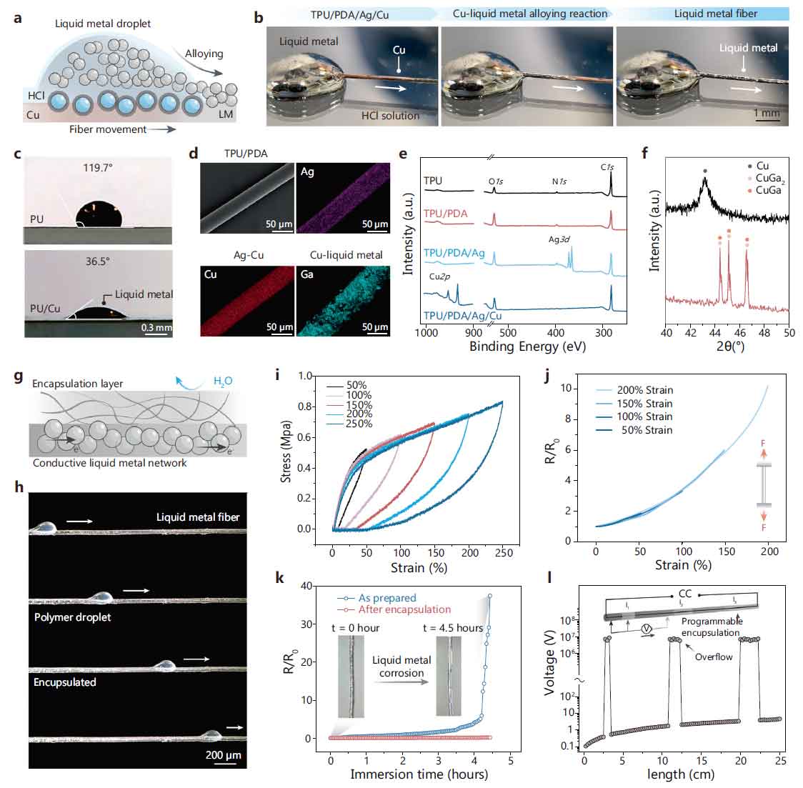 image-(2).jpg image-(2).jpg