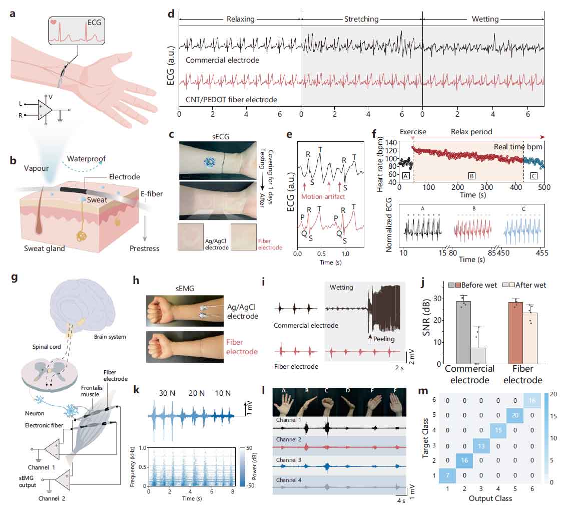 image-(5).jpg image-(5).jpg