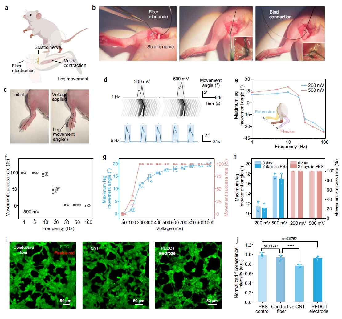 image-(6).jpg image-(6).jpg