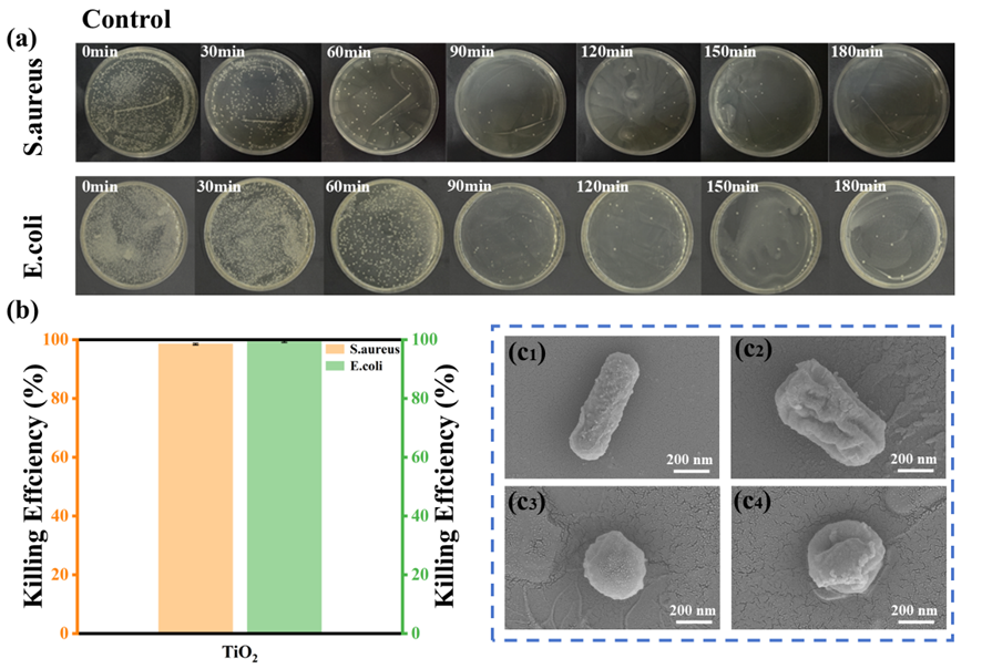 image (3).png image (3).png