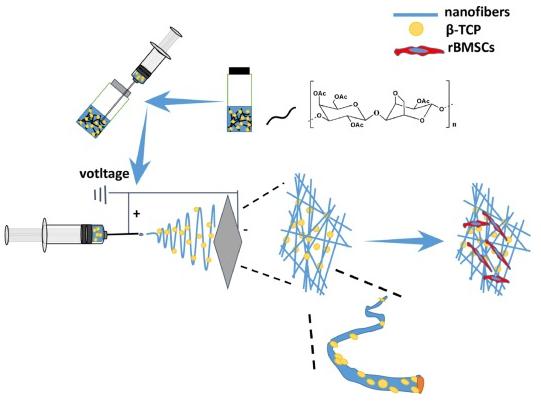 Carbohydrate Polymers:电纺琼脂糖醋酸酯纤维的制备