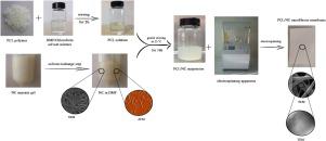 Carbohydrate Polymers：静电纺丝制备PCL/NC复合纳米纤维支架