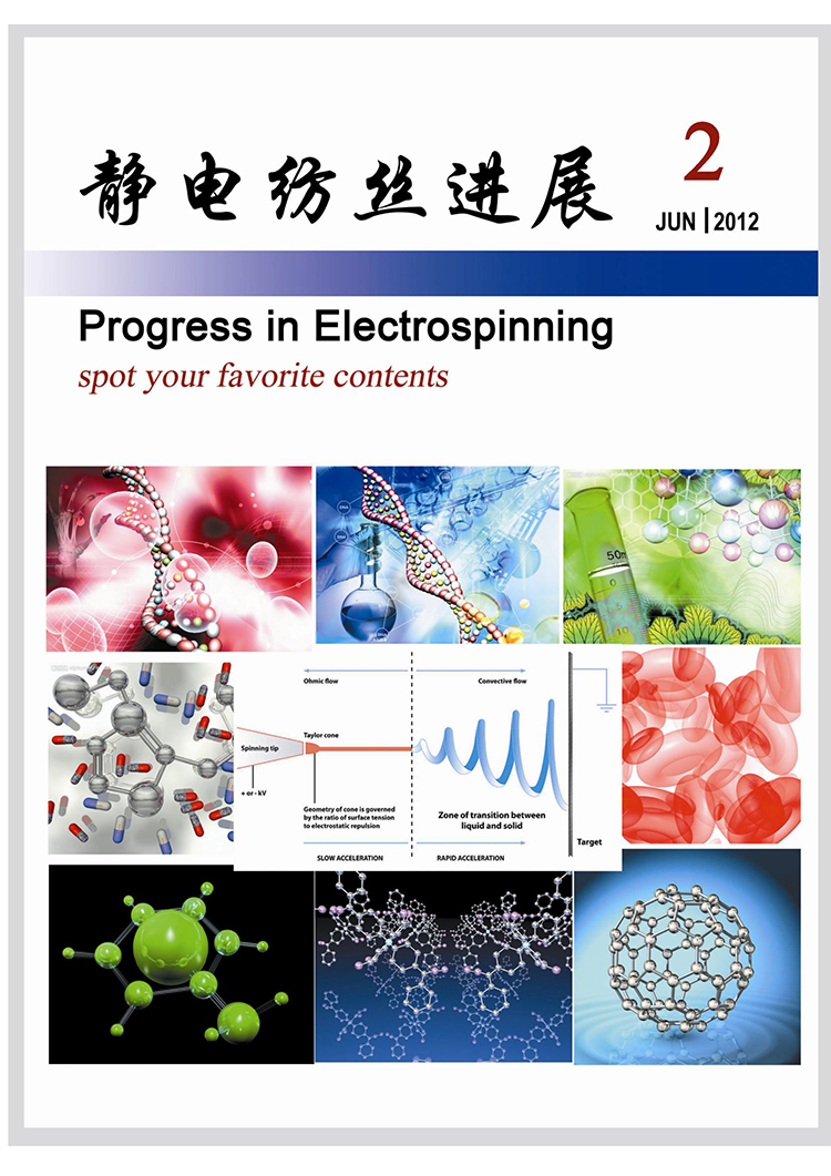 电纺丝进展第二期