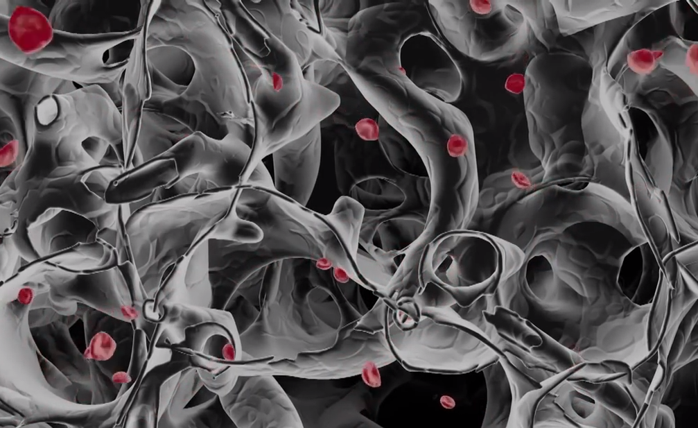 【转载】组织工程纳米纤维 （3D animation Nanofibers in tissue engineering）