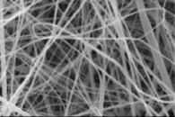 Int. J. Biol. Macromol.：麦卢卡蜂蜜掺入醋酸纤维素纳米纤维垫的制备及其作为潜在伤口敷料的体外评估